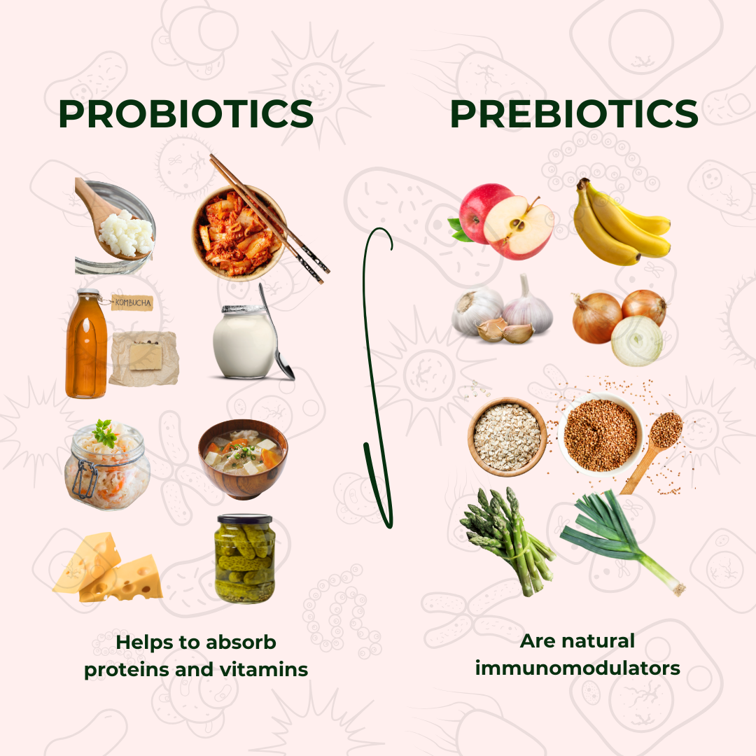 Prebiotic vs. Probiotic: Key Differences, Benefits, and Which Ones You Need