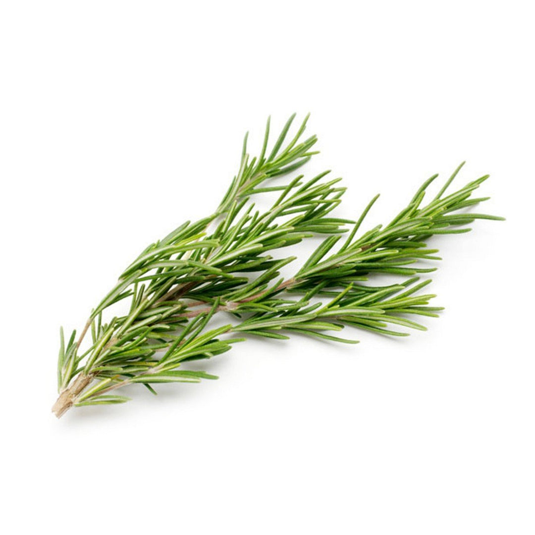 Rosemary