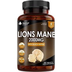 Lions Mane Extract Mushroom 2000mg Recyclable Bottle 180 tablets