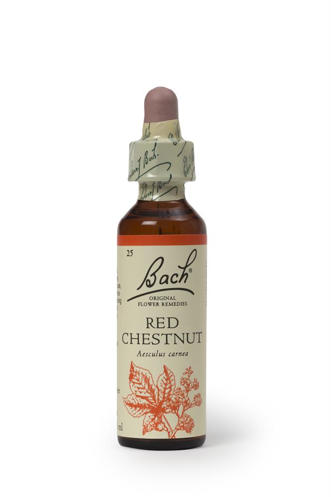 Bach Original Flower Remedies Red Chestnut 20ml