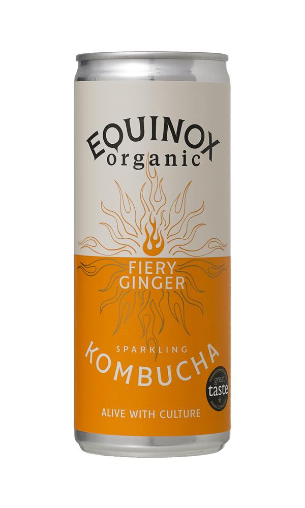 Organic Kombucha Soft Drink with Ginger 250ml can