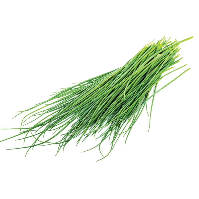 Chives