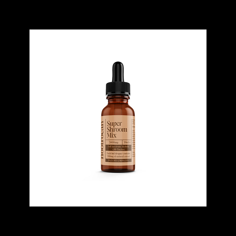 Nootrocan 3000mg 10% Full-Spectrum CBD Nootropic Tincture - 30ml