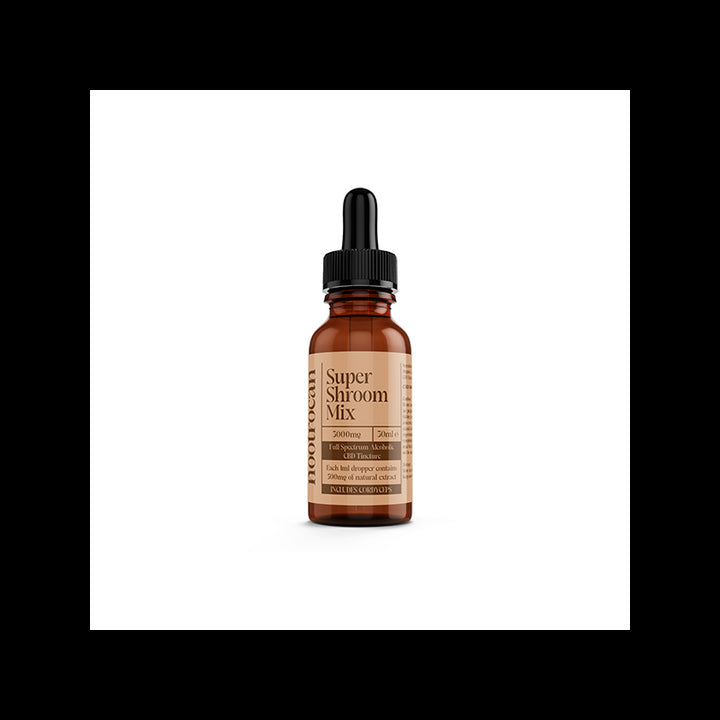 Nootrocan 3000mg 10% Full-Spectrum CBD Nootropic Tincture - 30ml