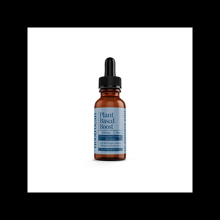 Nootrocan 3000mg 10% Full-Spectrum CBD Nootropic Tincture - 30ml