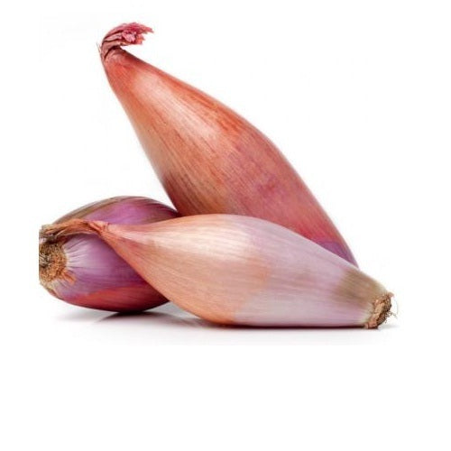 Shallots Onion